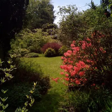 Woodland Lodge Vegetarian Lodge Bantry