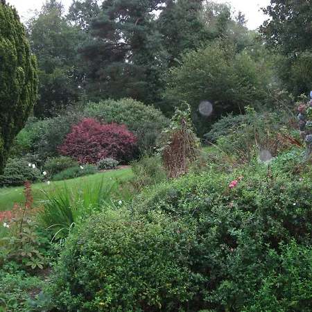 Woodland Lodge Vegetarian Lodge Bantry